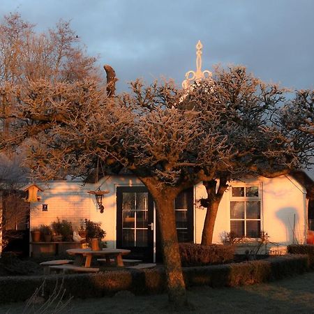 The Wee White Hoose Bed & Breakfast Oosternijkerk Luaran gambar