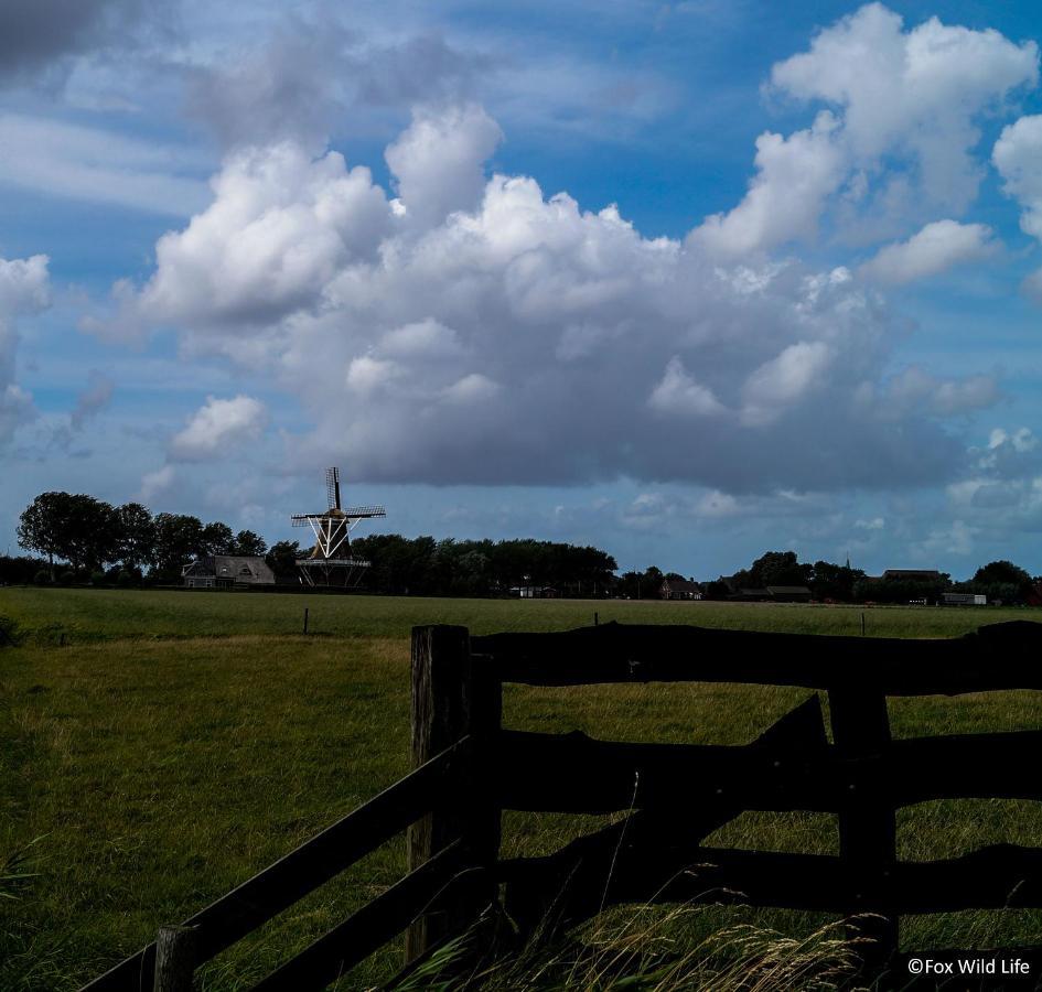 The Wee White Hoose Bed & Breakfast Oosternijkerk Luaran gambar