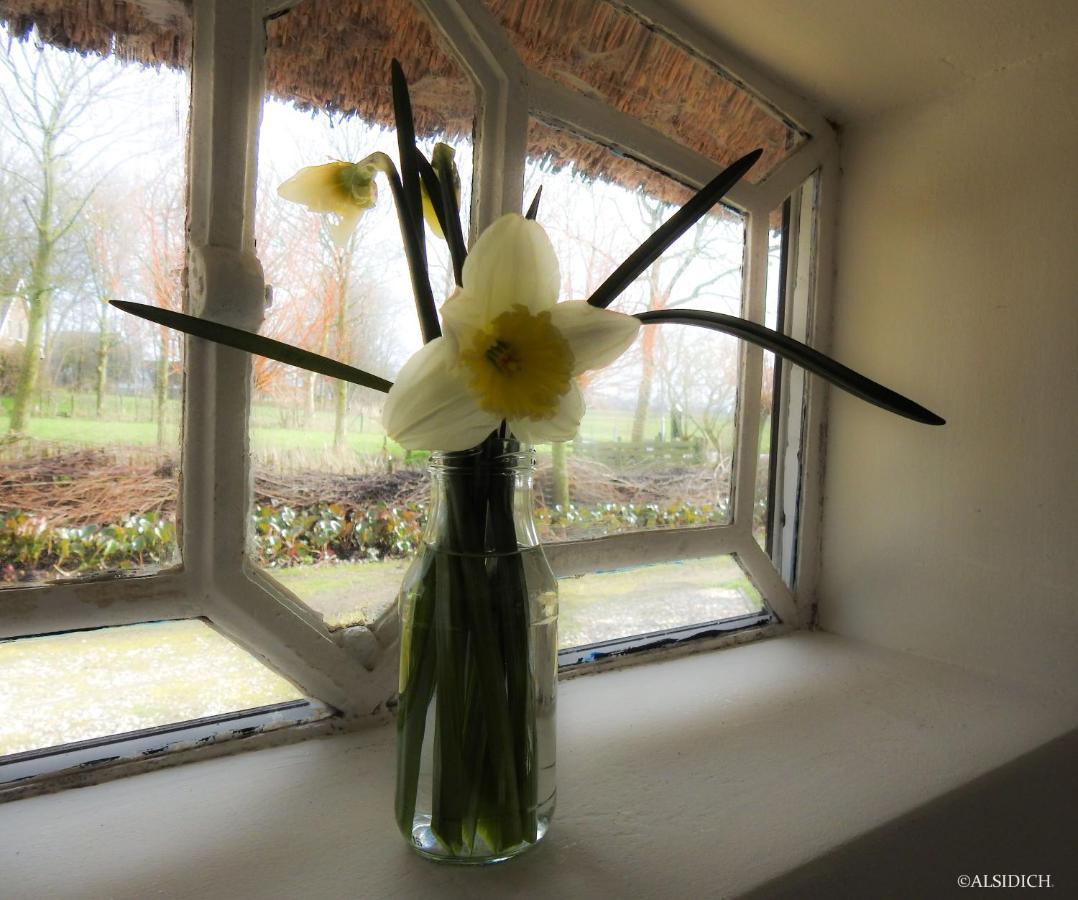 The Wee White Hoose Bed & Breakfast Oosternijkerk Luaran gambar