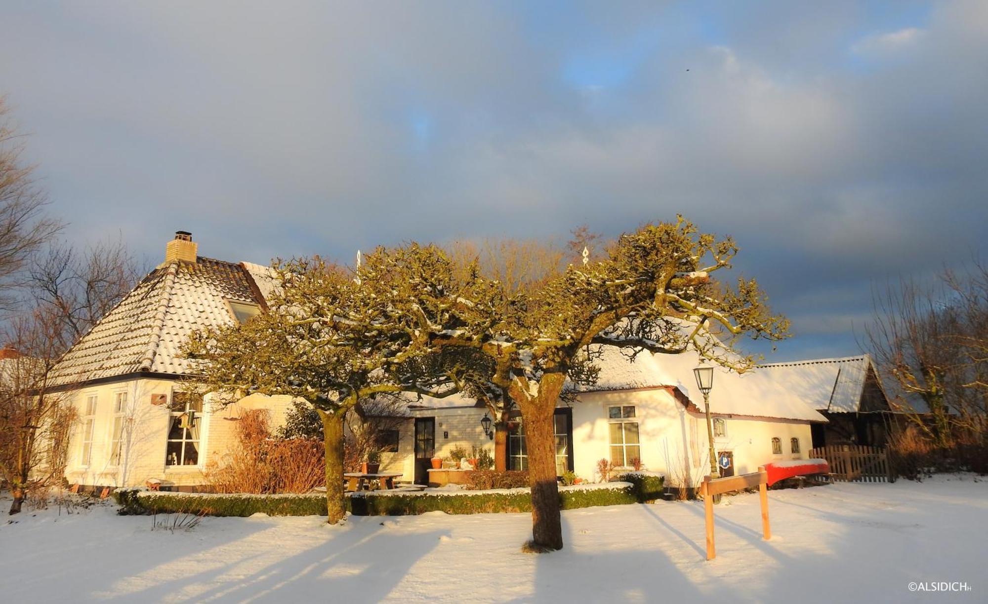 The Wee White Hoose Bed & Breakfast Oosternijkerk Luaran gambar
