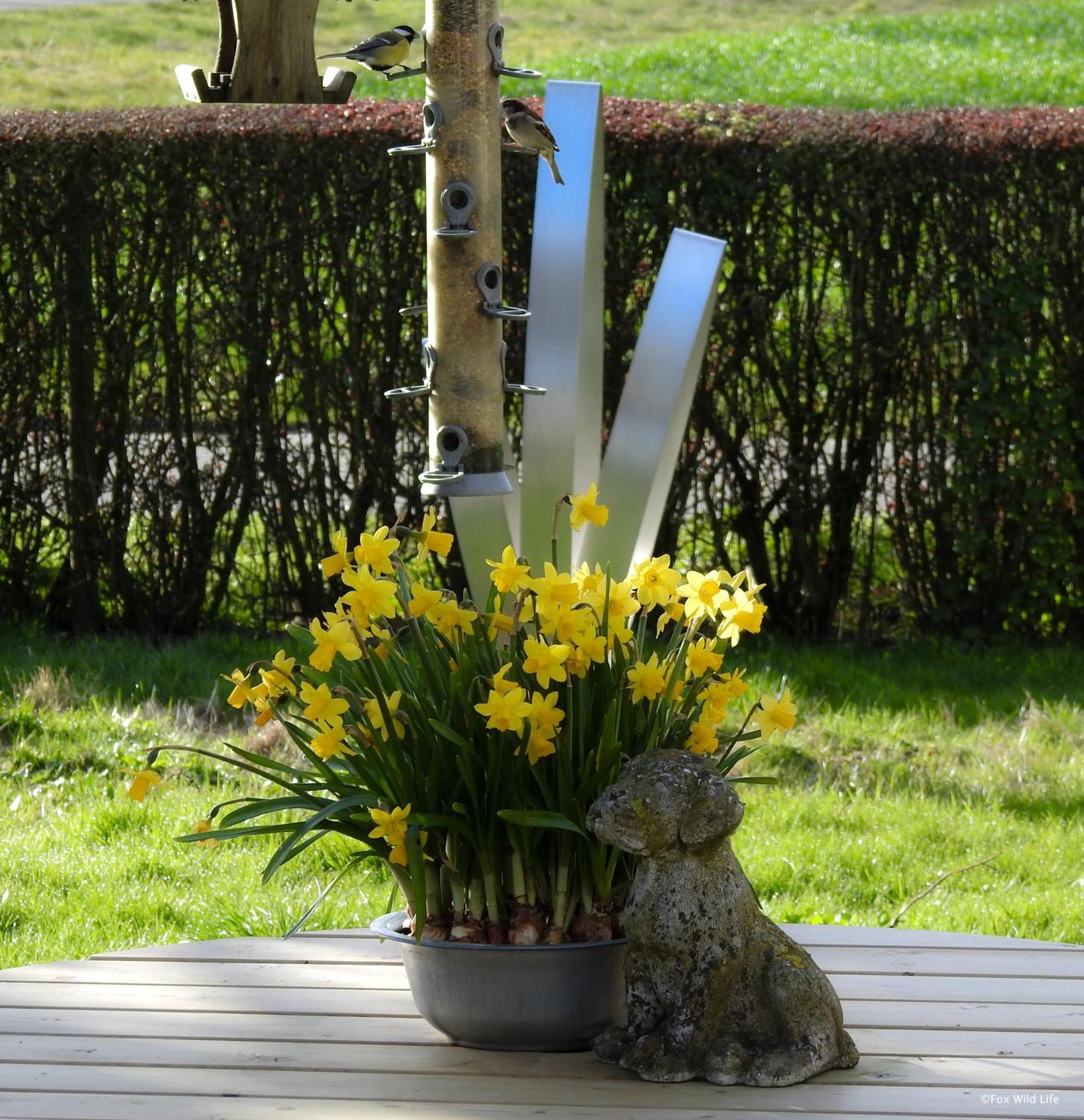 The Wee White Hoose Bed & Breakfast Oosternijkerk Luaran gambar